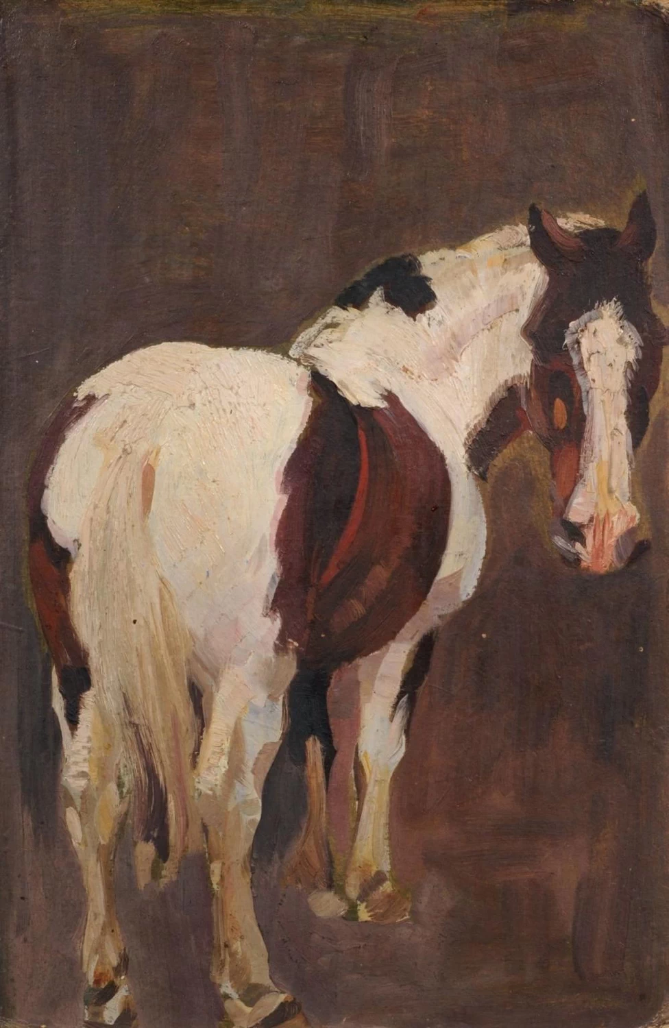 Cavallo